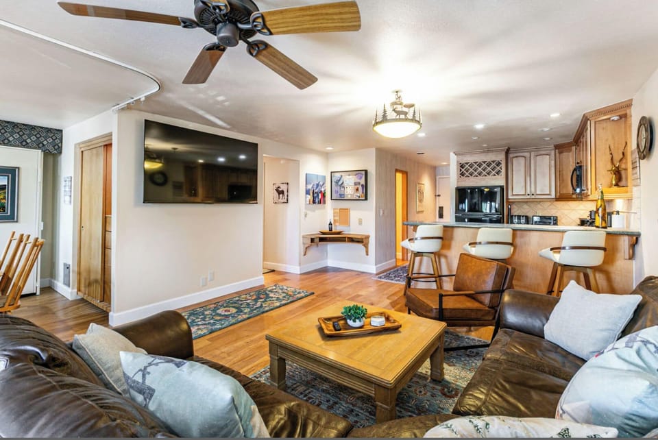 Deluxe Condo | Living area