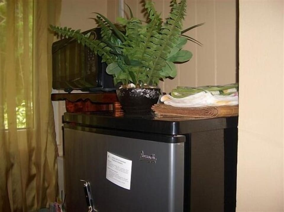 Standard Room | Mini-refrigerator