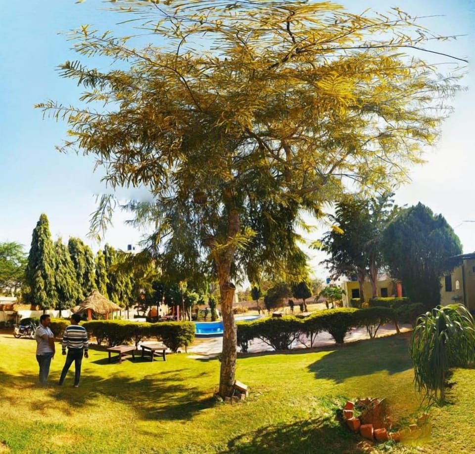 Hotel Hillview Hotel in Rajasthan