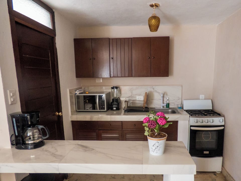 Comfort Apartment, 1 Double Bed, Kitchen | Blackout drapes, iron/ironing board, WiFi (free)