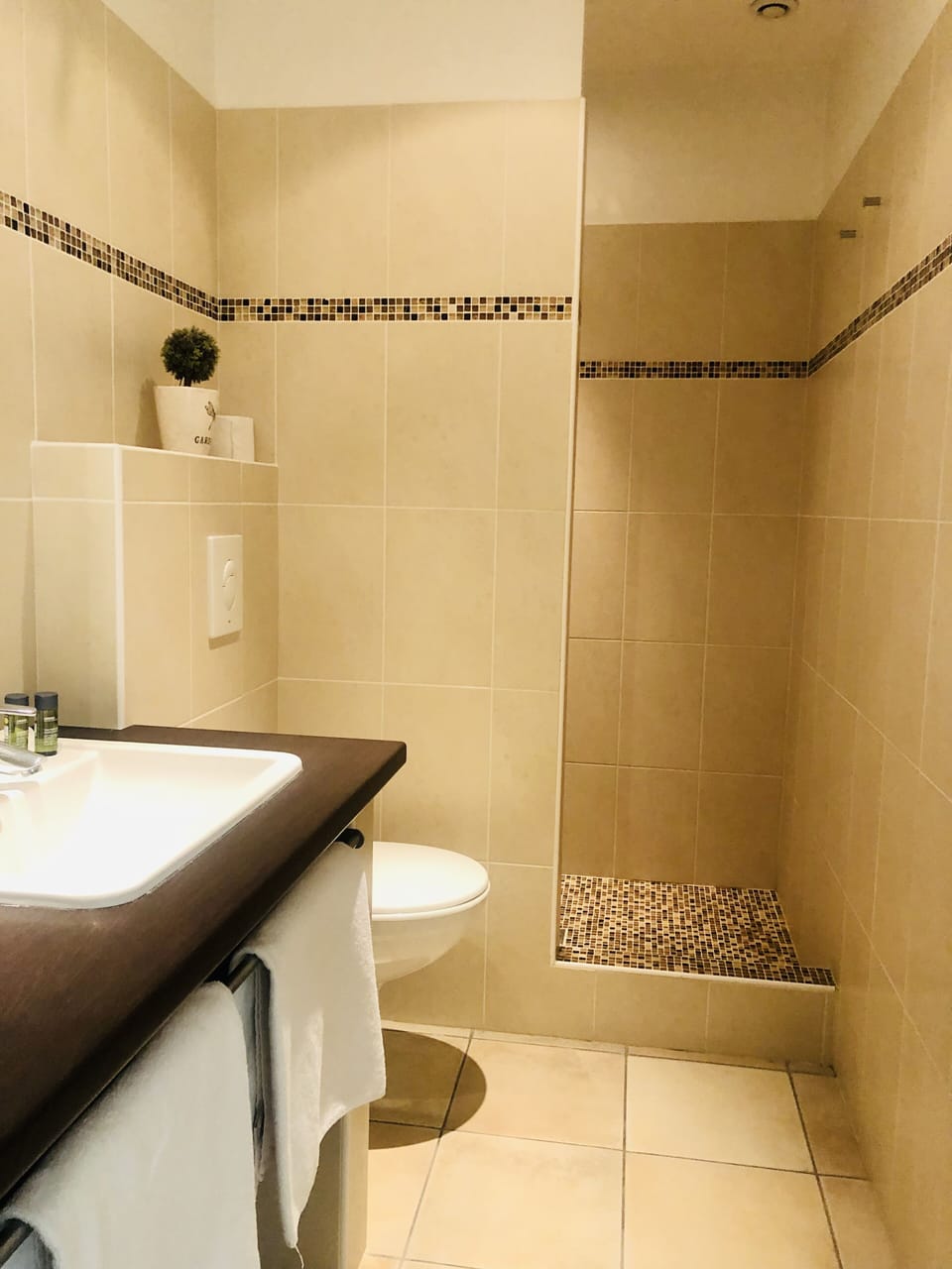 Family Suite | Bathroom | Shower, free toiletries, hair dryer, towels