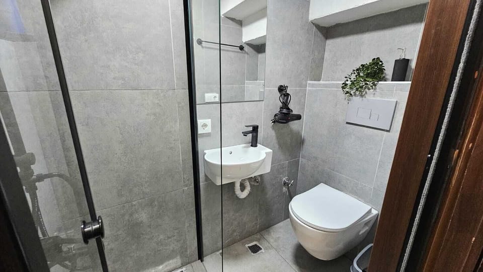 Deluxe Room | Bathroom | Separate tub and shower, free toiletries, hair dryer, towels