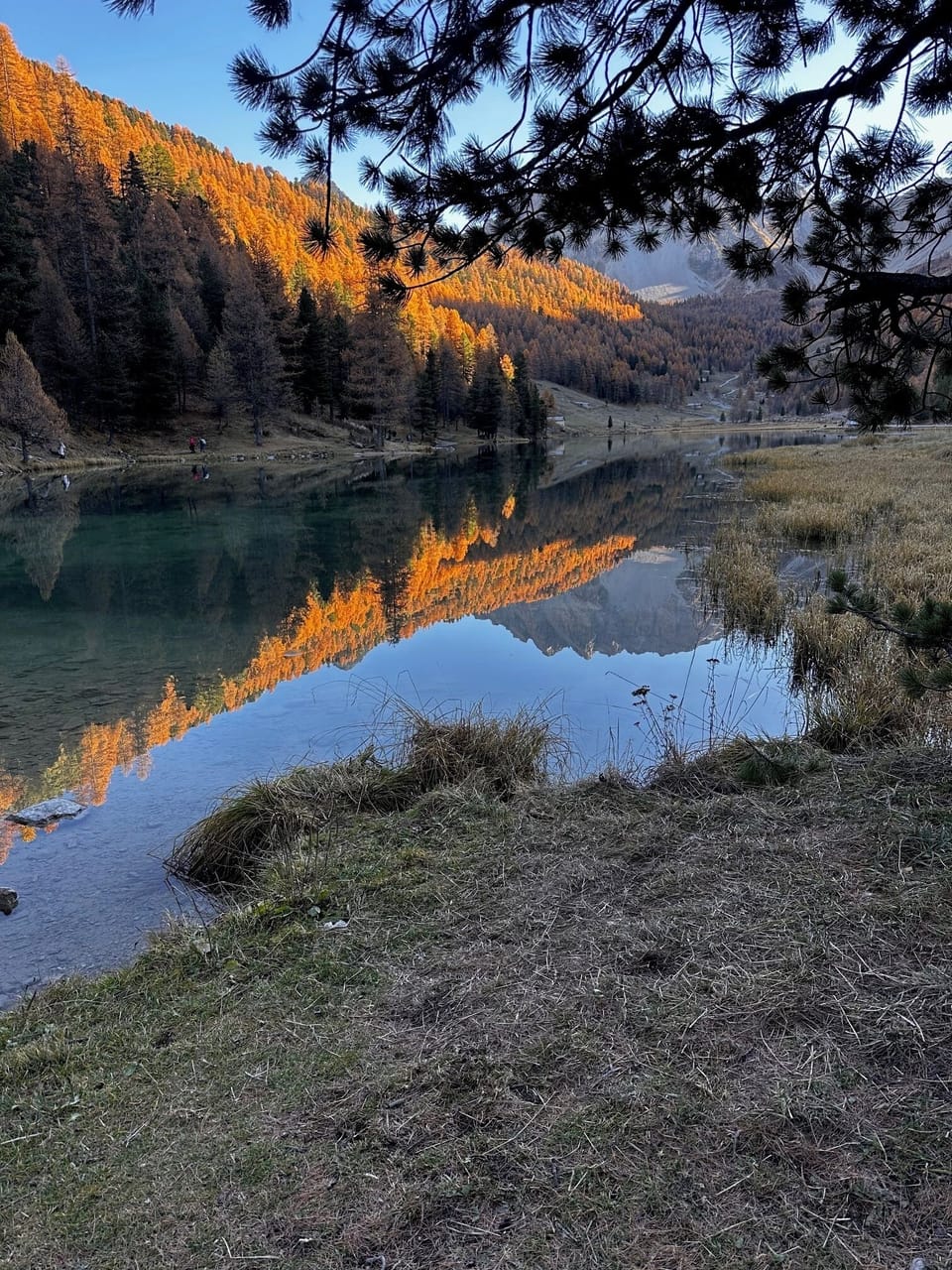 Hiking
