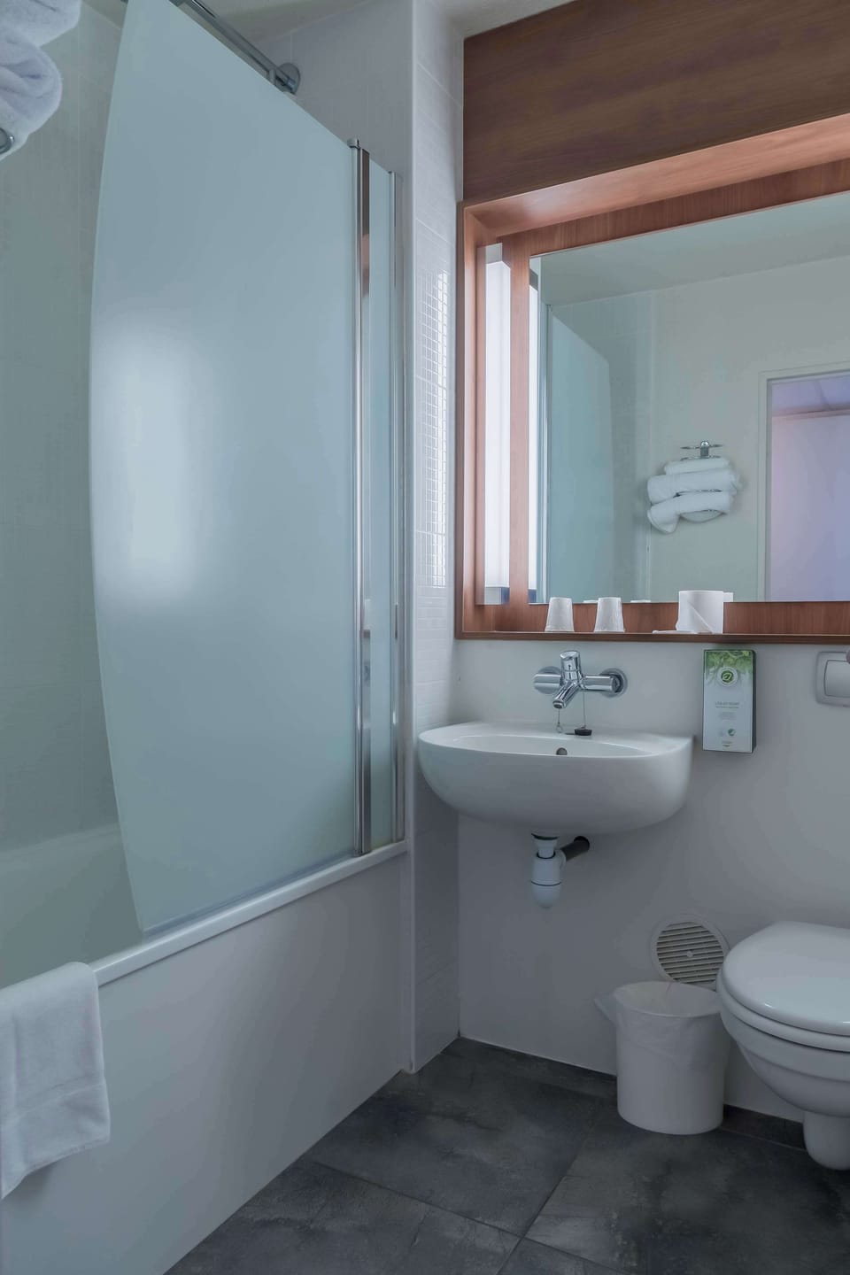 Standard Room, 1 Double Bed | Bathroom | Eco-friendly toiletries, hair dryer, towels