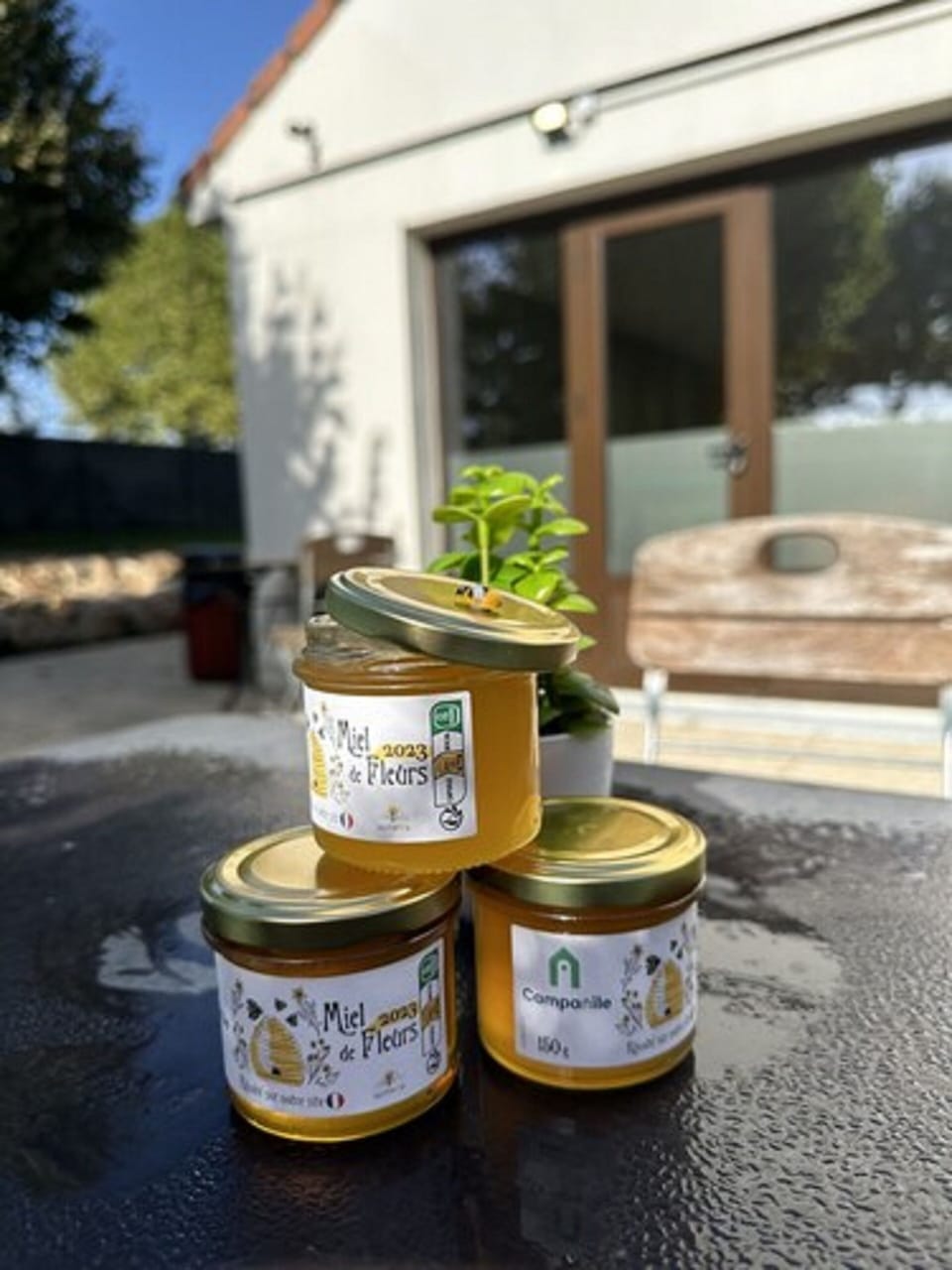 Daily buffet breakfast (EUR 14.5 per person)