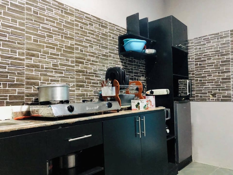 Family Apartment, Balcony, City View | Private kitchen | Fridge, microwave, oven, stovetop