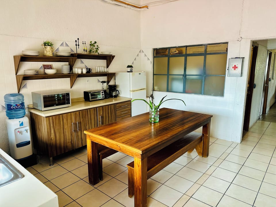 Fridge, microwave, oven, cookware/dishes/utensils