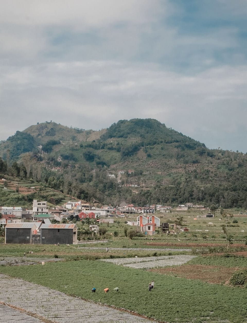 Land view from property