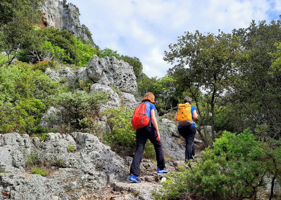 Hiking