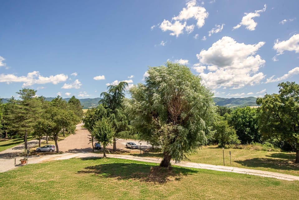 BBQ/picnic area