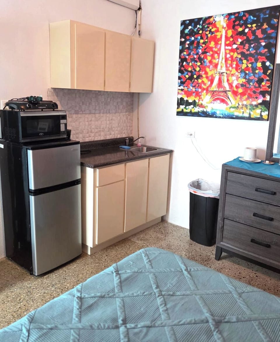 Romantic Studio | Private kitchen | Fridge, microwave, stovetop, coffee/tea maker