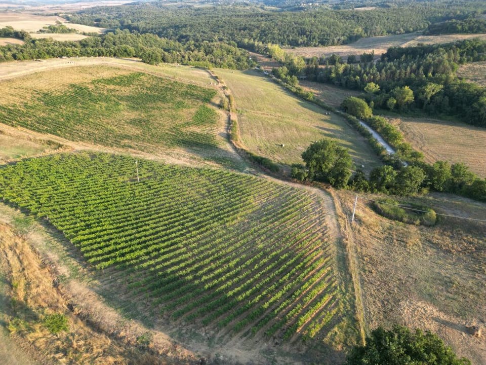 Winery