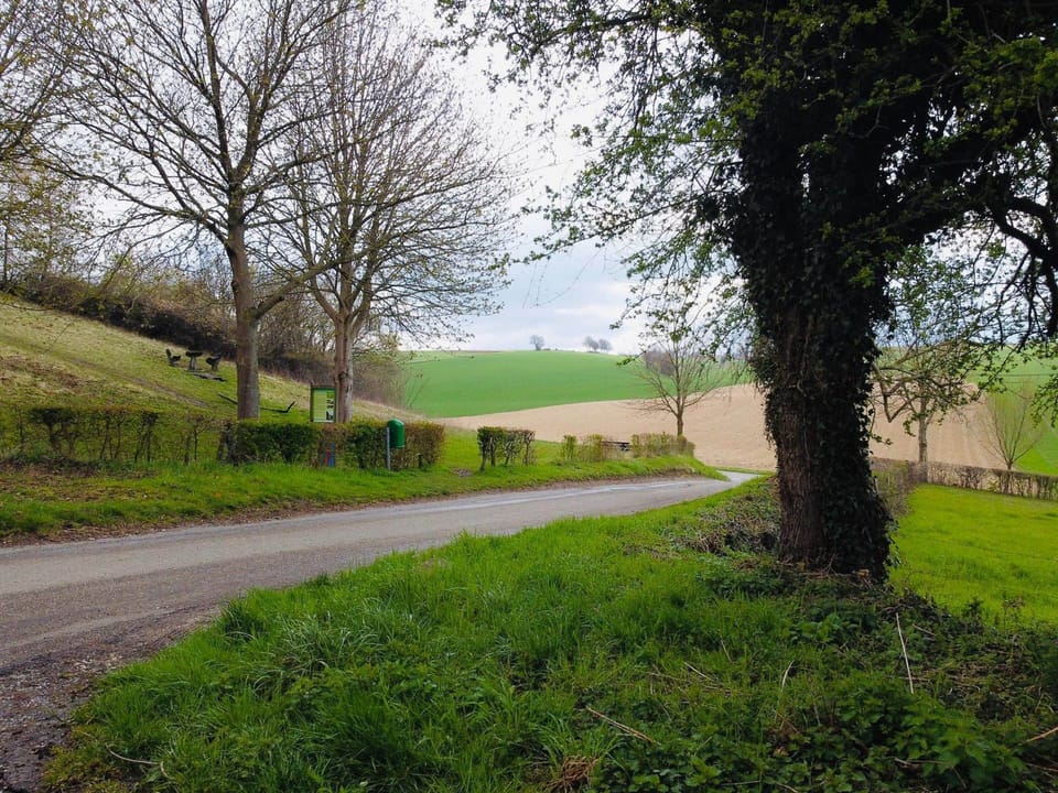 Cottage | View from property
