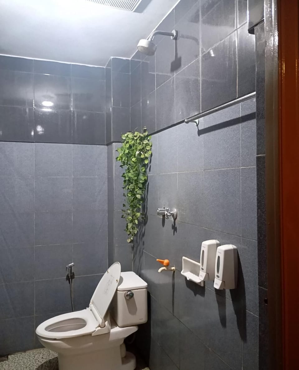 Deluxe Twin Room | Bathroom | Shower, free toiletries, towels, soap