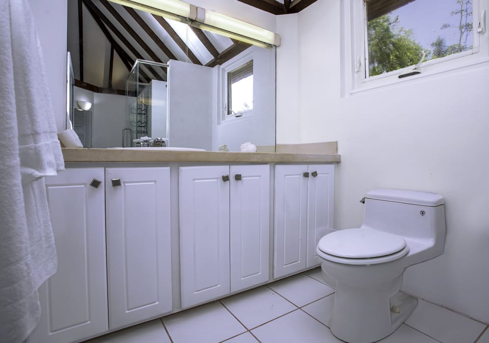 John John Cottage 1 Bedroom Cottage Cottage in Caribbean