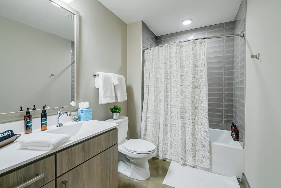 Sable 704 - One Bedroom Apartment in Minneapolis