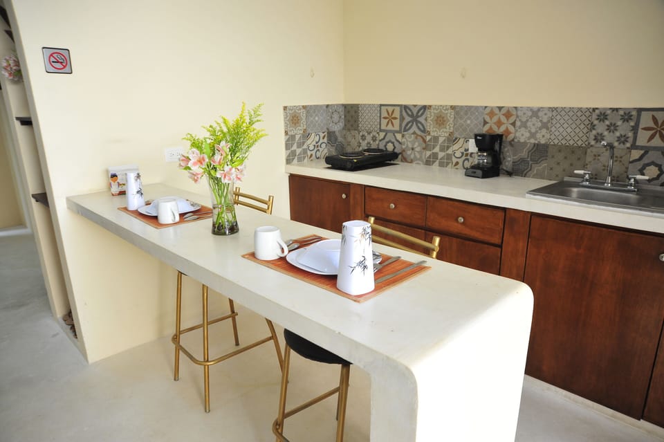 Deluxe Studio Suite | Private kitchen | Shared fridge, paper towels