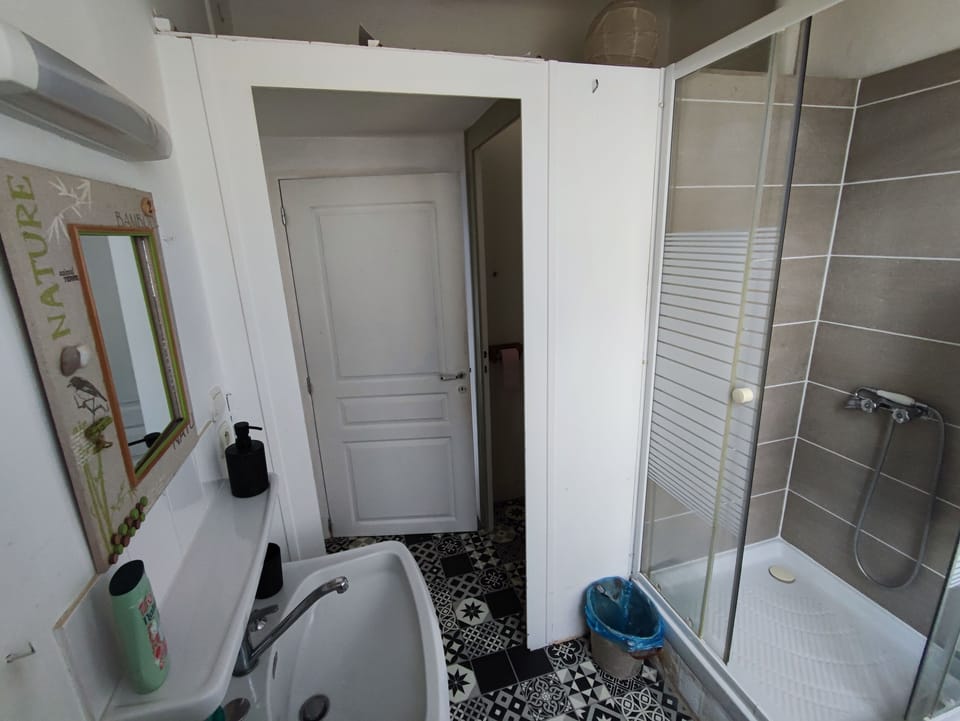 Shower, towels, toilet paper