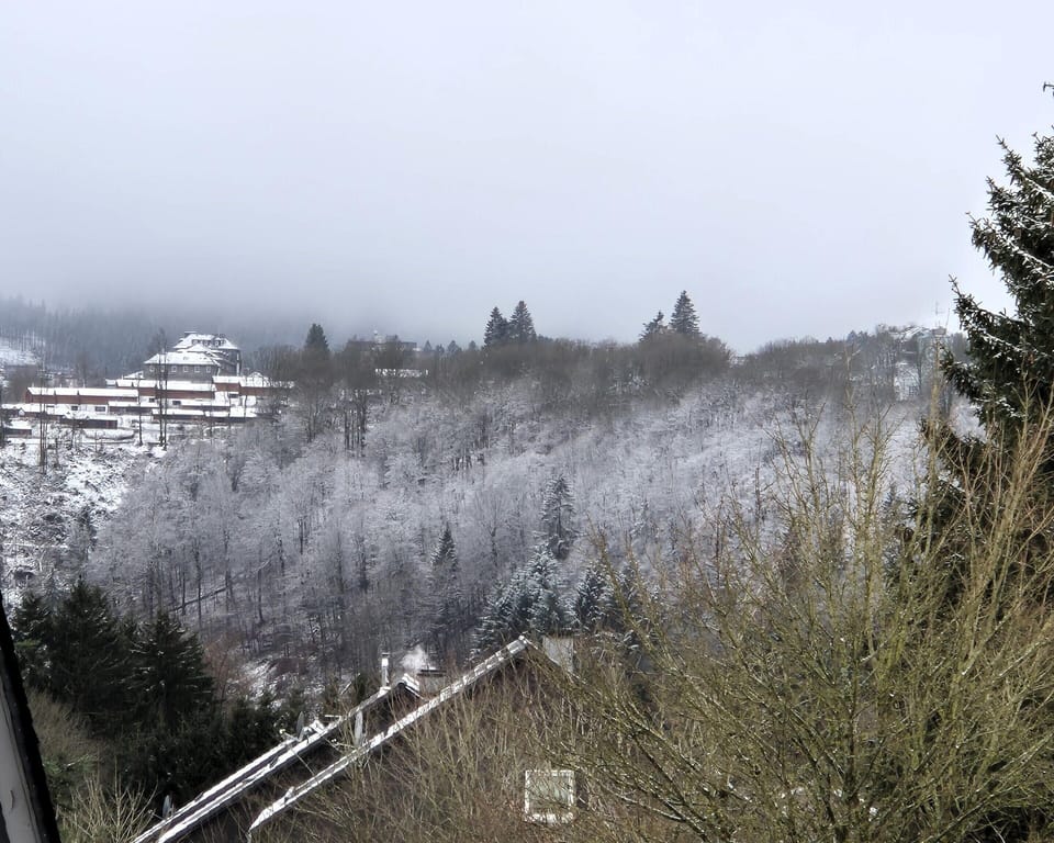 Apartment | View from property
