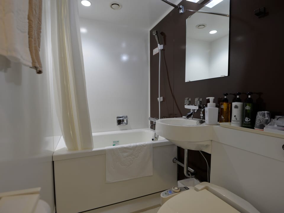 Separate tub and shower, free toiletries, slippers, electronic bidet