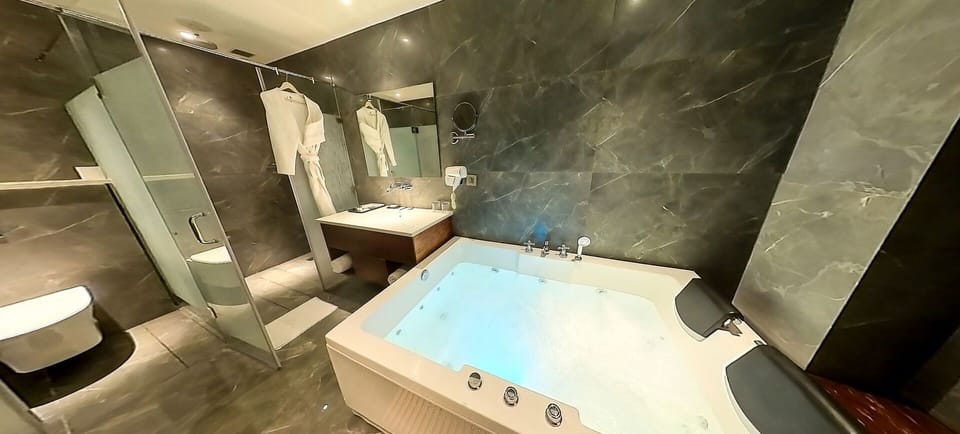 Premium Suite | Bathroom | Shower, rainfall showerhead, free toiletries, hair dryer