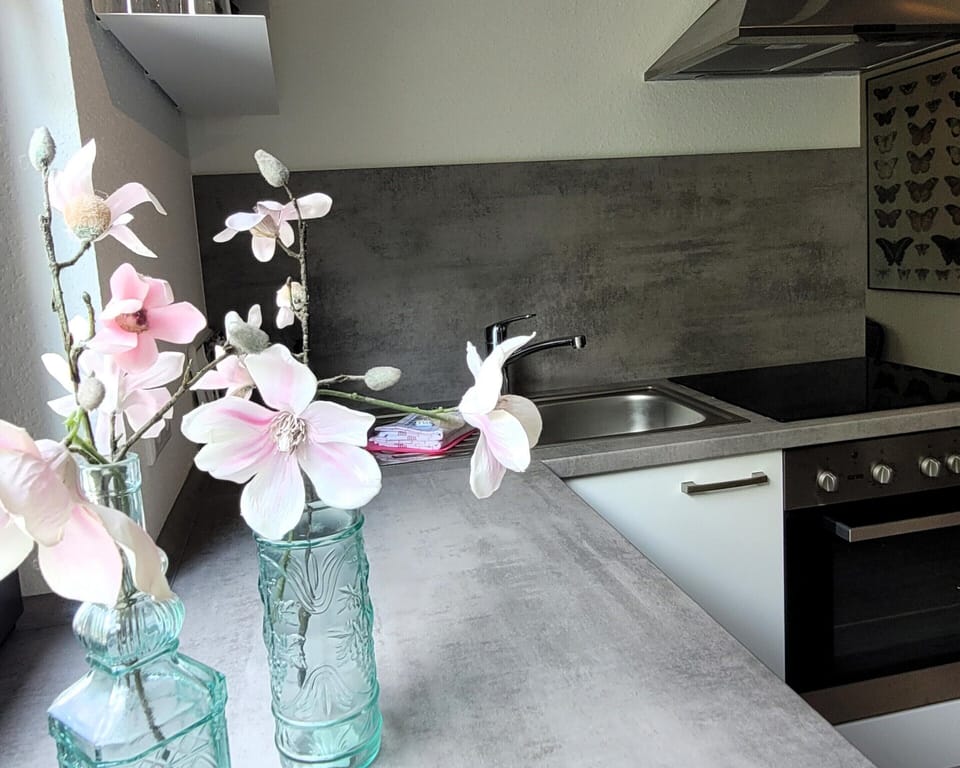 Apartment | Private kitchen | Cookware/dishes/utensils