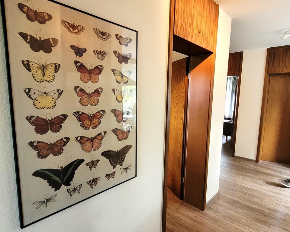 Apartment | Interior