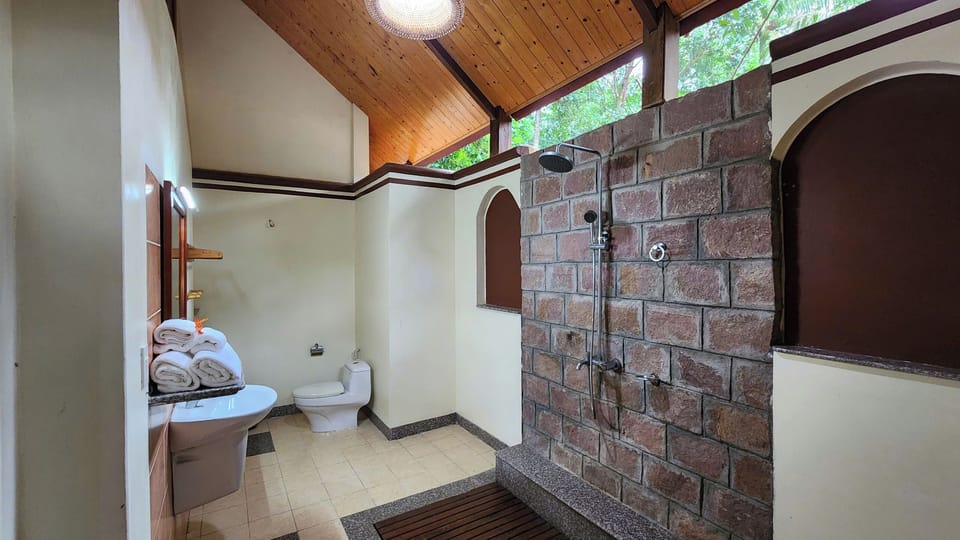 Deluxe Studio | Bathroom | Shower, rainfall showerhead, free toiletries, hair dryer