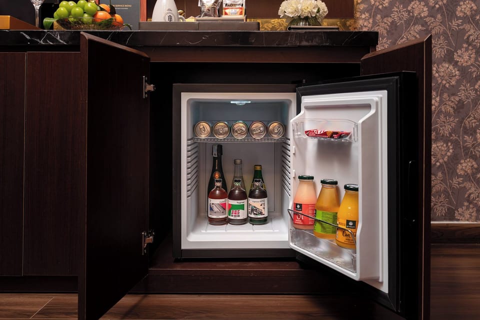 Executive Double Room | Mini-refrigerator