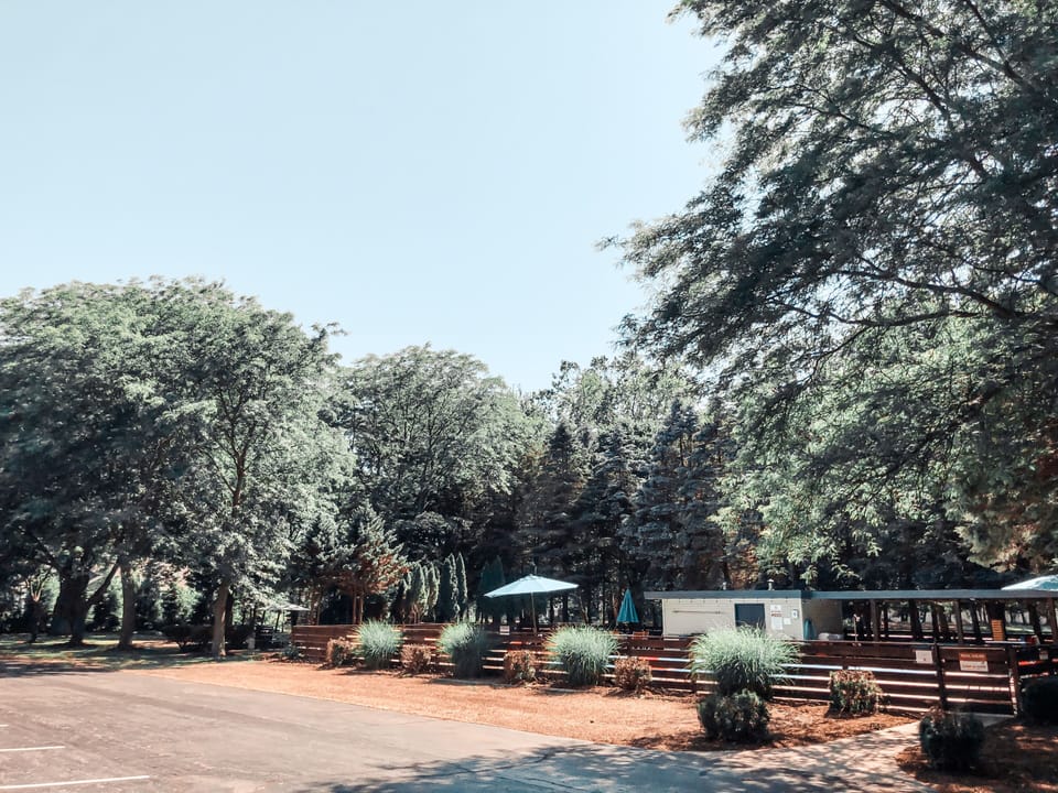 Seasonal outdoor pool, open 10:00 AM to 10:00 PM, free cabanas