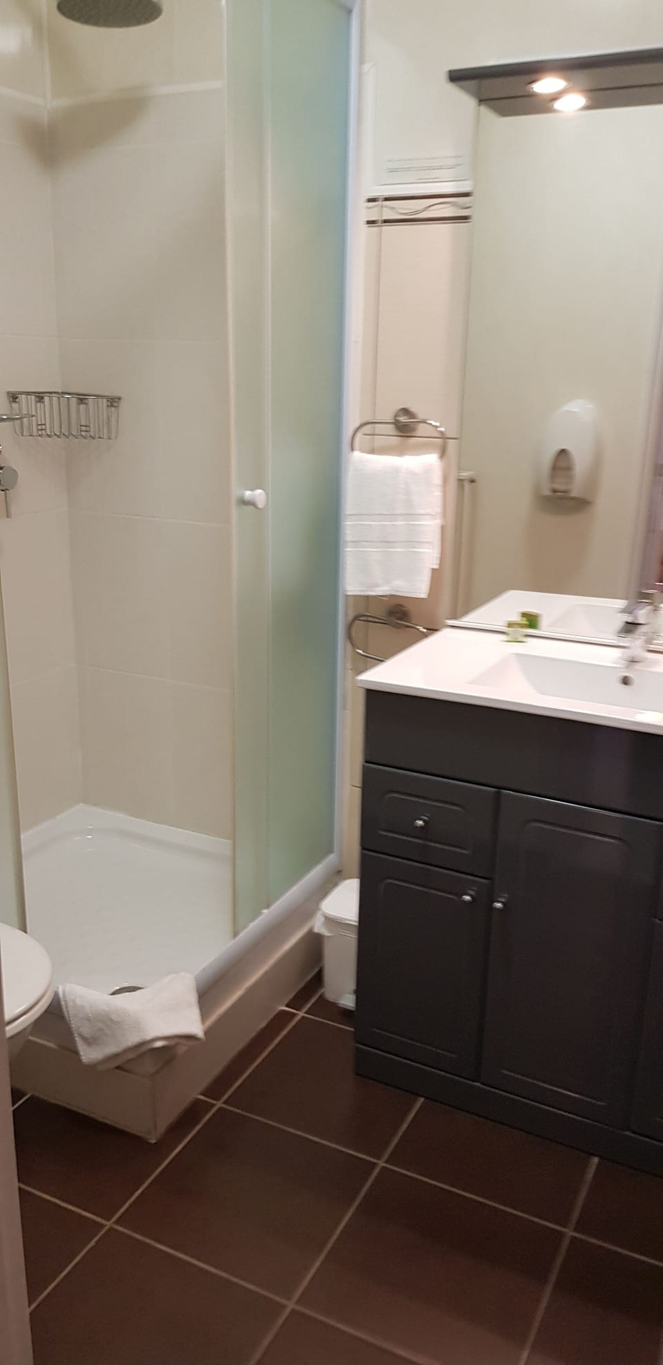 Standard Double Room | Bathroom | Shower, free toiletries, hair dryer, towels