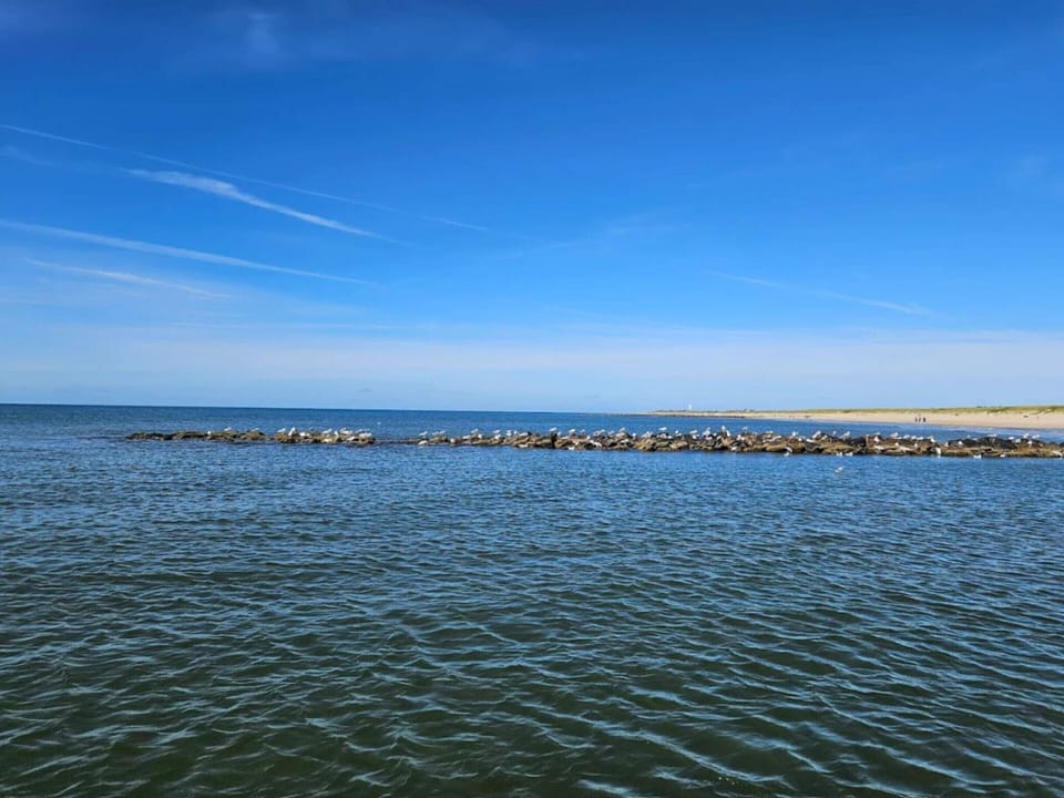 House | Water view