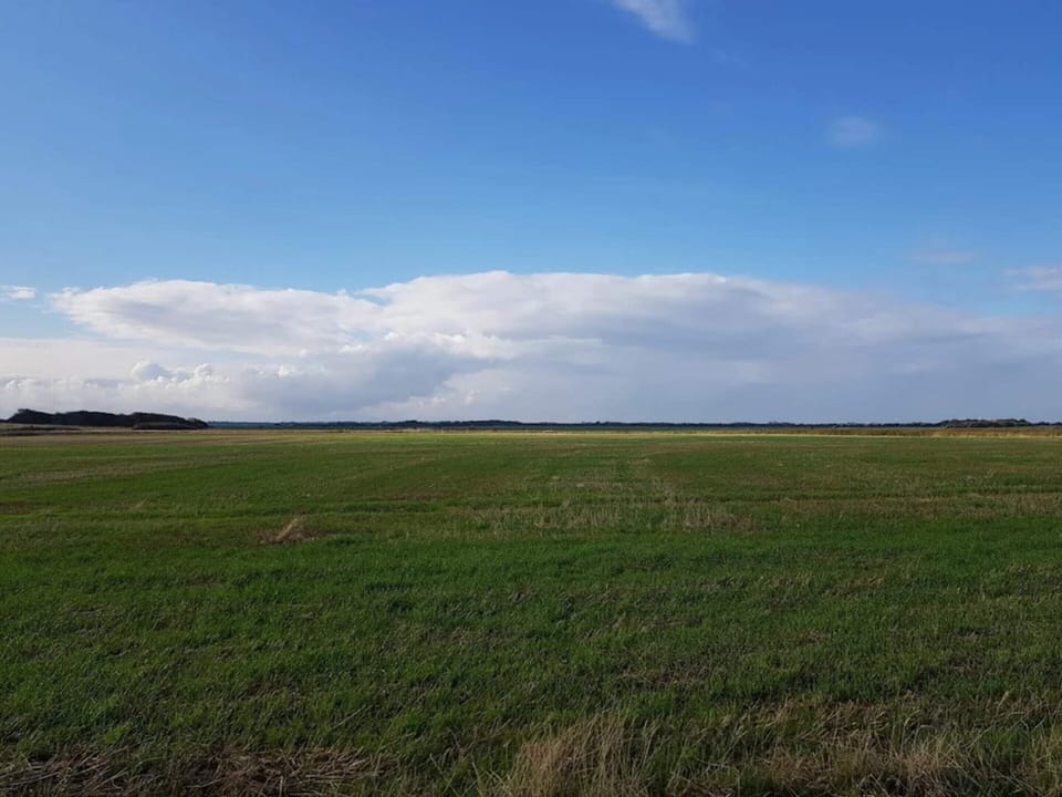 House | Miscellaneous