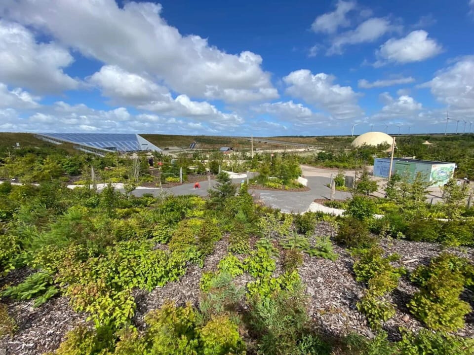 House | Property grounds