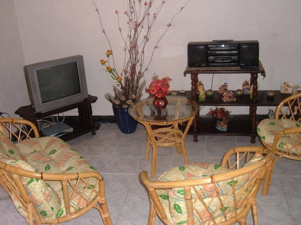 Flat-screen TV