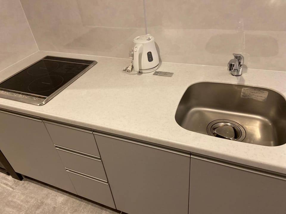 Fridge, microwave, electric kettle