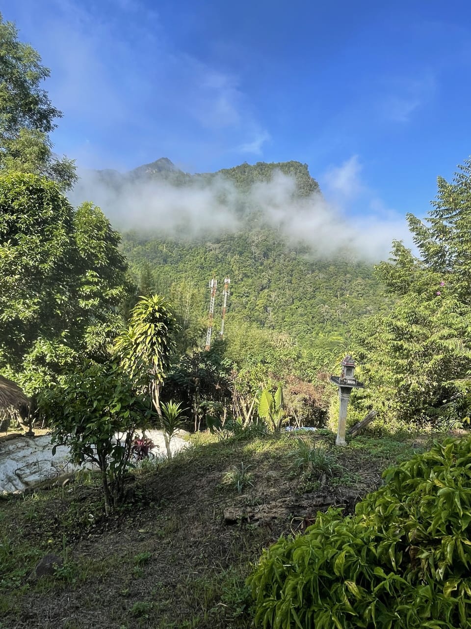 Mountain view