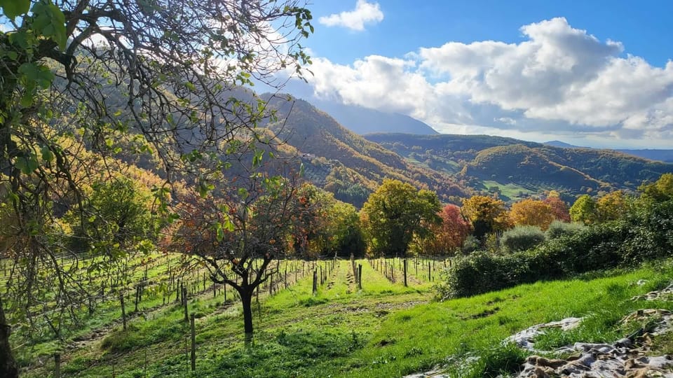 Land view from property