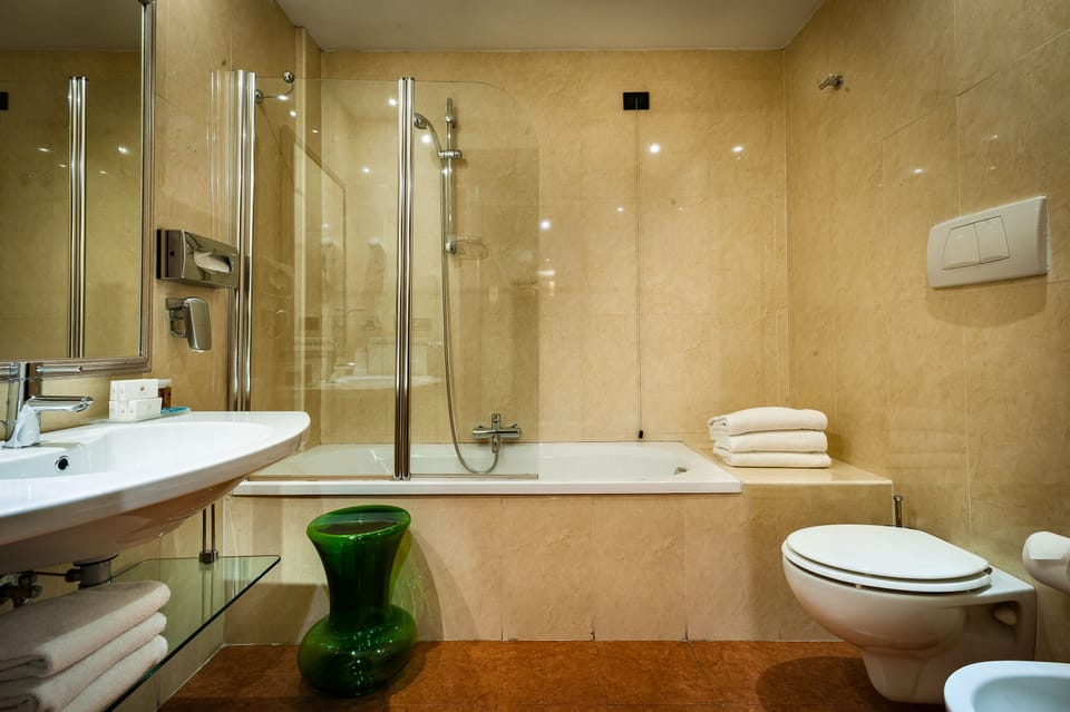 Shower, free toiletries, hair dryer, bidet