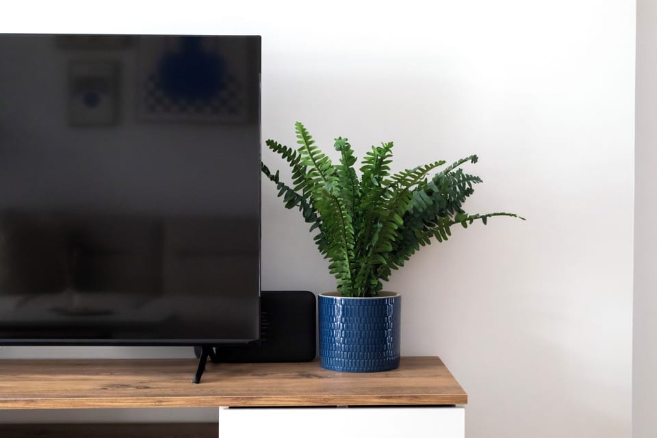 Apartment, 1 Bedroom, Kitchen, City View | Living room | 43-inch Smart TV with digital channels, streaming services