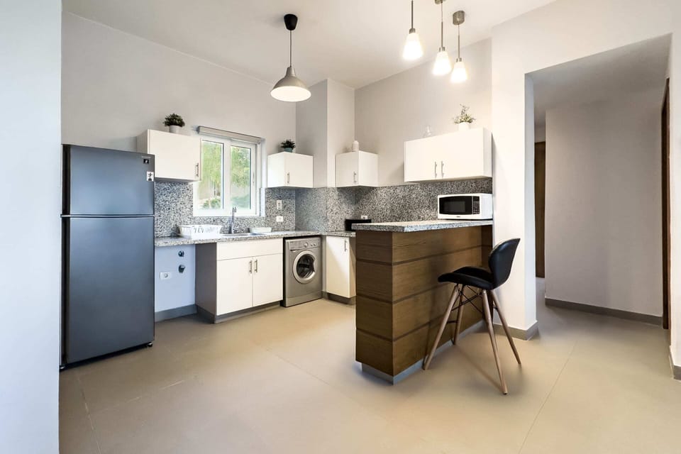 Basic Apartment | Private kitchen | Fridge, microwave, oven, stovetop