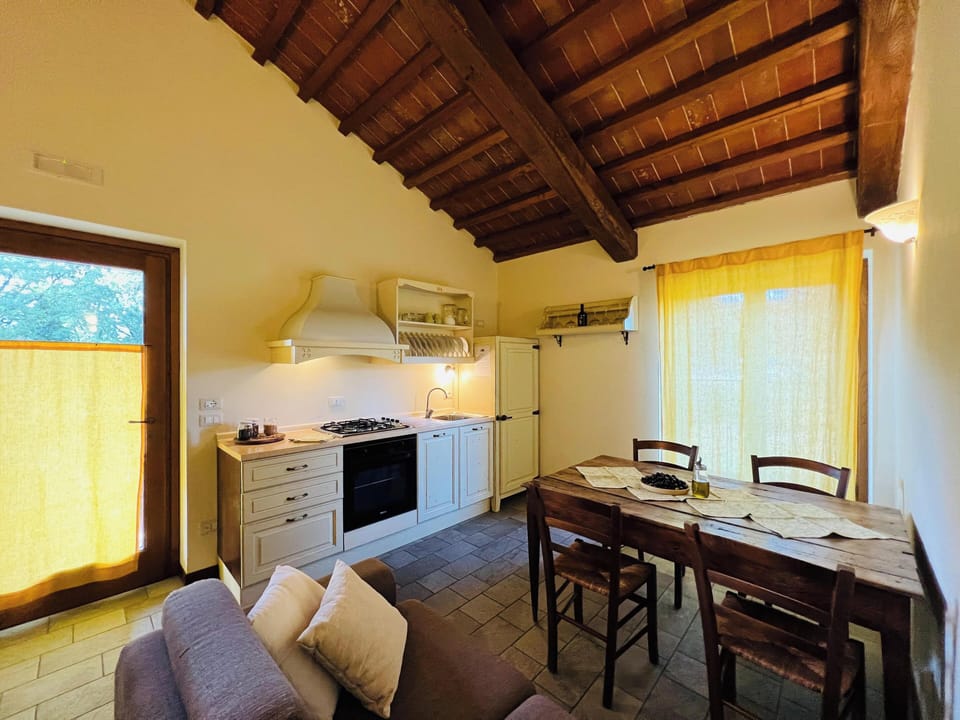 Superior Apartment, Patio, Lake View | Private kitchen | Full-size fridge, oven, stovetop, highchair