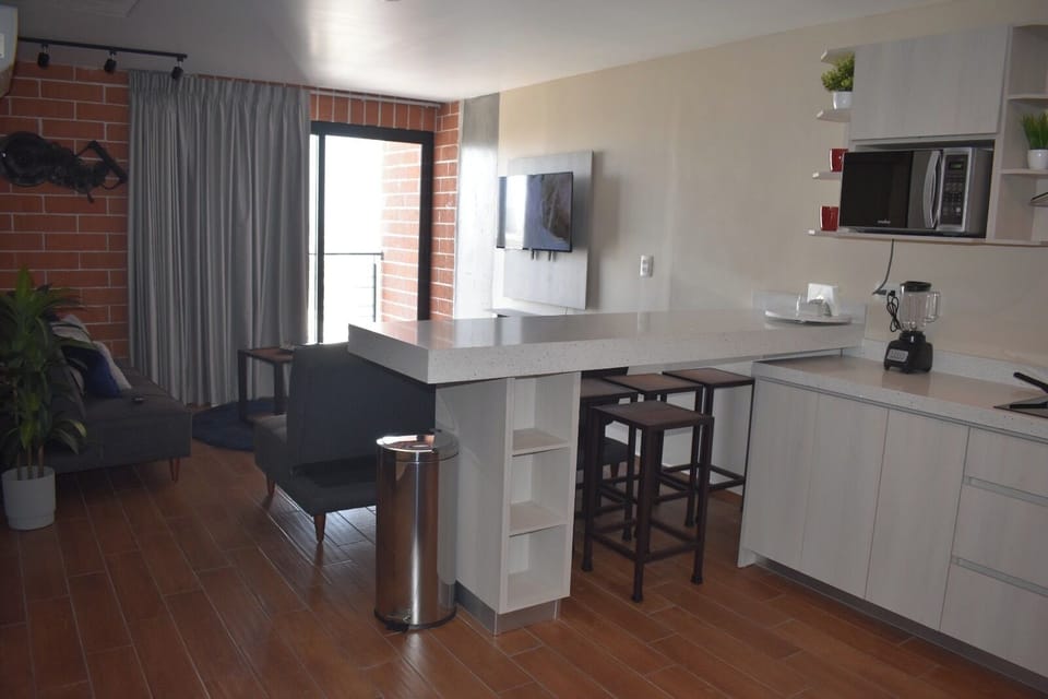 Family Apartment, 2 Bedrooms, Kitchenette, City View | Private kitchen