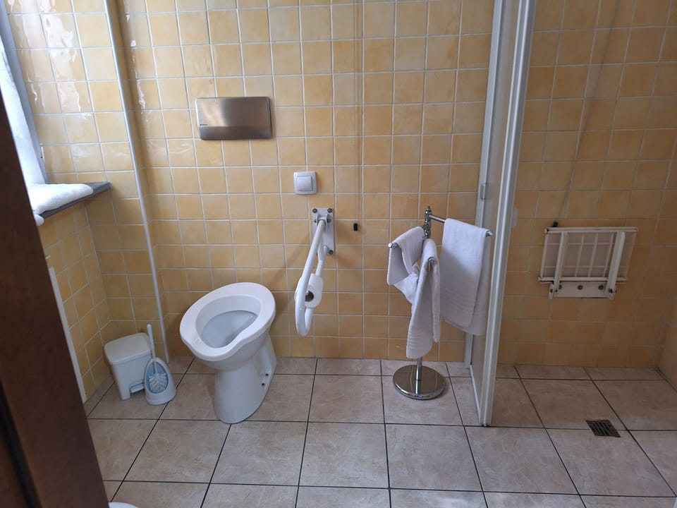 Double or Twin Room | Bathroom | Shower, towels, soap, shampoo