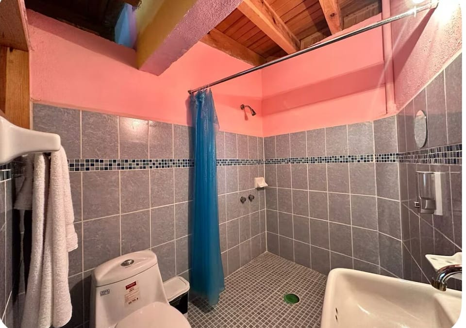 Basic Room | Bathroom