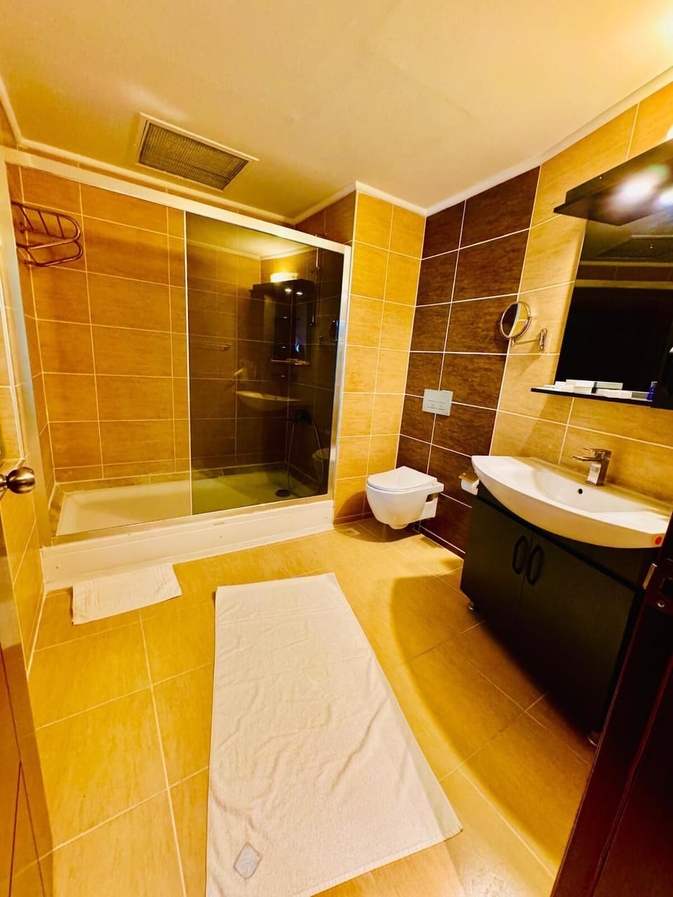 Shower, hydromassage showerhead, designer toiletries, hair dryer
