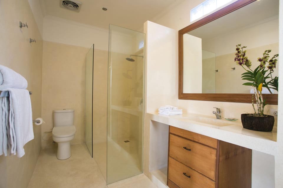 Shower, free toiletries, hair dryer (on request), bidet