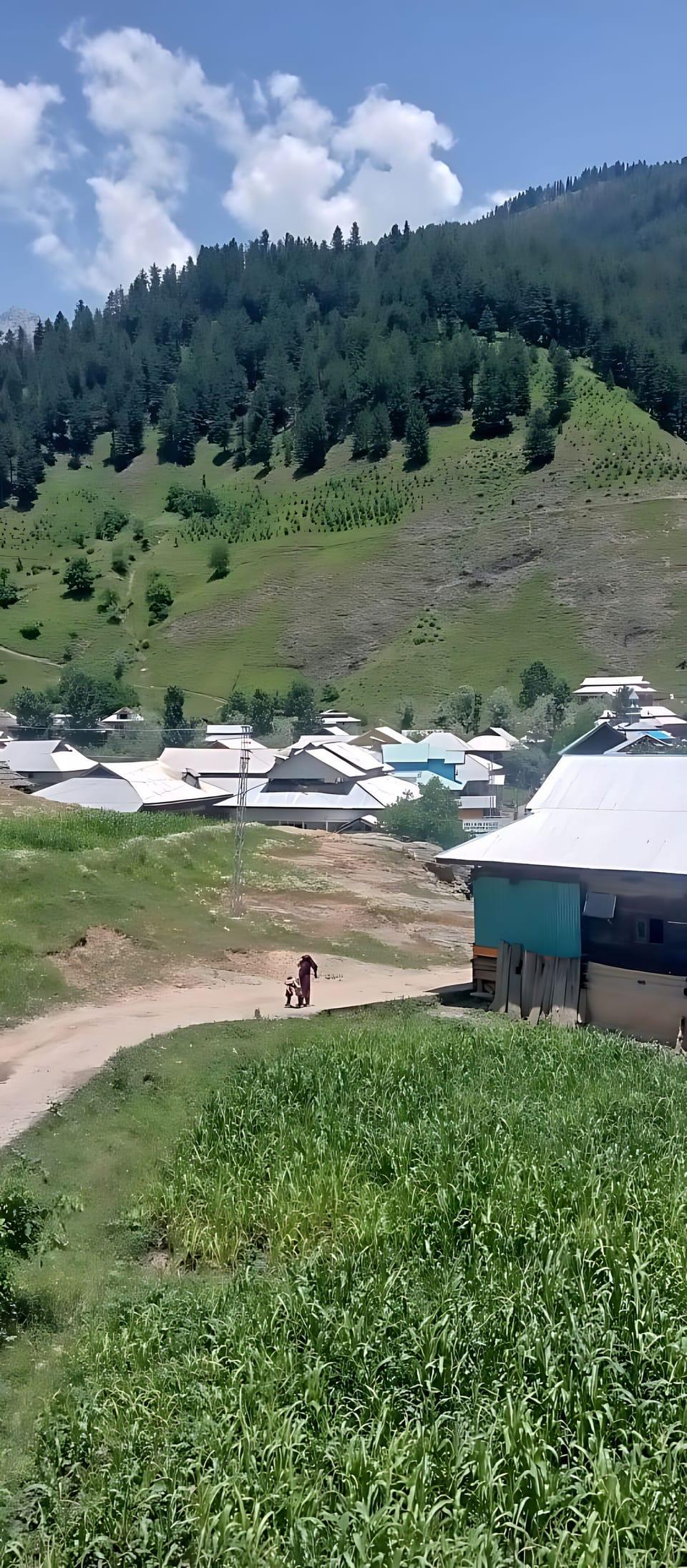View from property