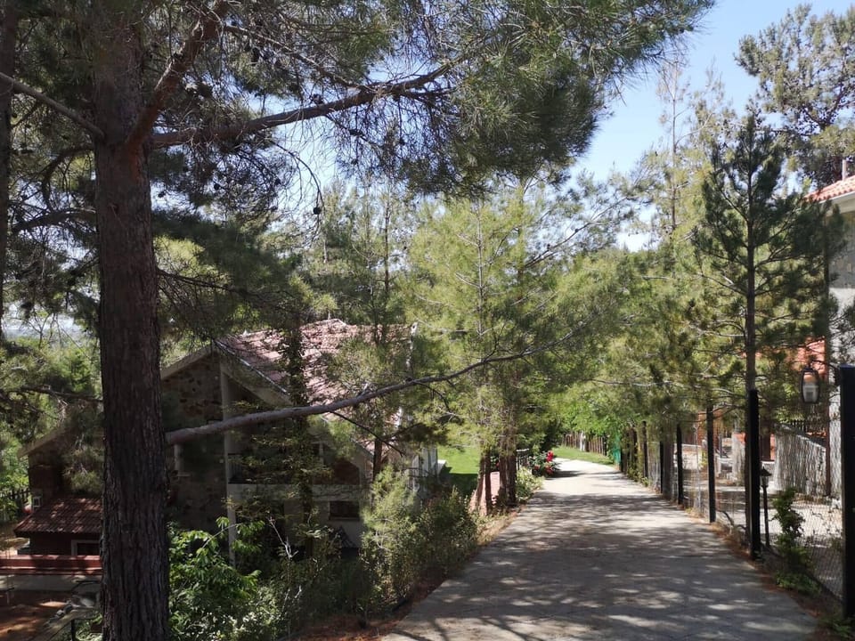 Villa, 4 Bedrooms | Garden