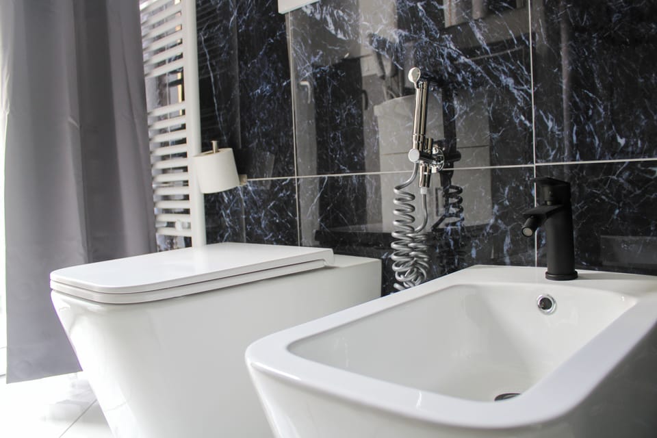 Shower, rainfall showerhead, hair dryer, bidet